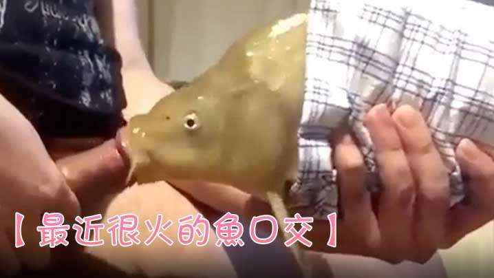 人妖ts一区二区